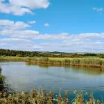 A serene landscape near Arundel showcases a calm river reflecting the blue sky and fluffy clouds. Lush green reeds and grass border the water, with rolling hills and a mix of trees in the background under a bright, sunny sky.