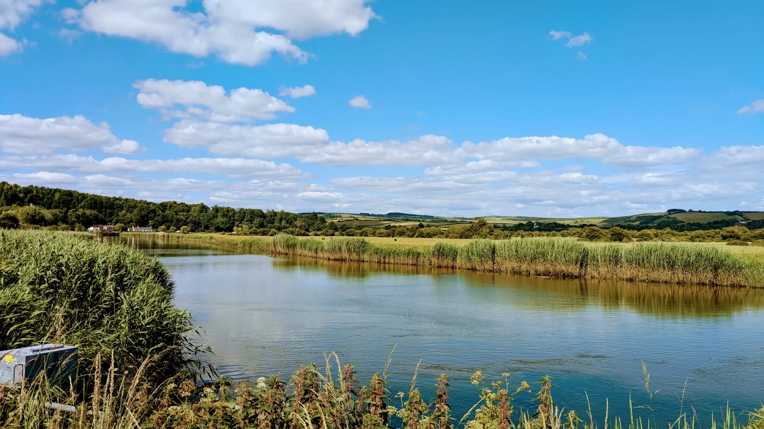 A serene landscape near Arundel showcases a calm river reflecting the blue sky and fluffy clouds. Lush green reeds and grass border the water, with rolling hills and a mix of trees in the background under a bright, sunny sky.