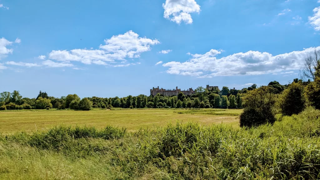 Arundel castle on a hill in the distance with blue skies, and wild grasslands in the foreground.
