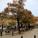 Autumnal trees shed their leaves on a cobbled town square.