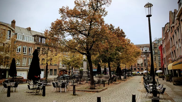 Autumnal trees shed their leaves on a cobbled town square.