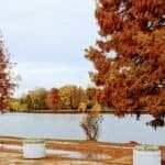 A tranquil lake in Europe, with vivid Autumn colours, a clear sky, and a quiet atmosphere, perfect for exploring European destinations during November.
