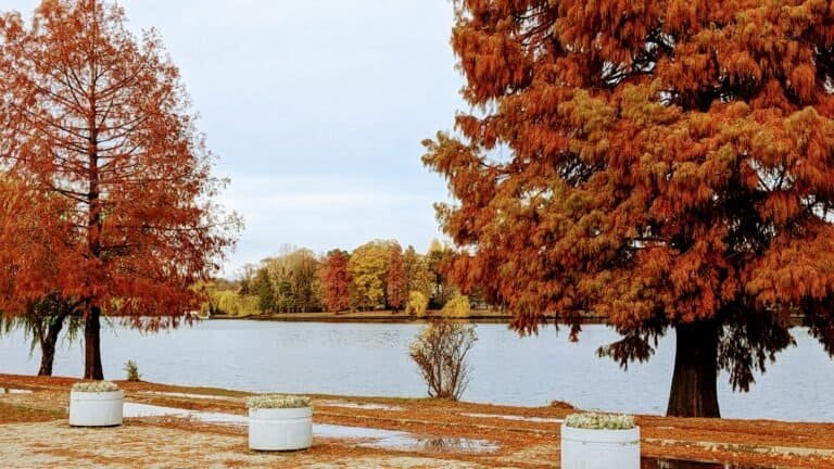 This image captures a tranquil autumn setting in Europe, showcasing a lakeside park with vivid fall colours, a clear sky, and a quiet atmosphere, perfect for exploring European destinations during November.
