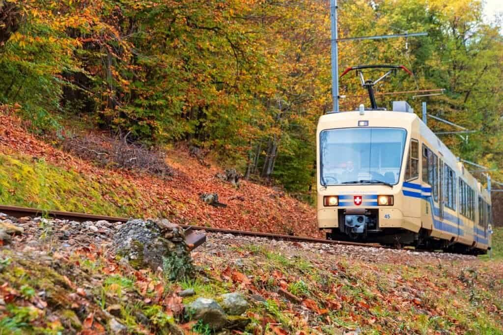 A vintage train traveling through colorful autumn foliage in Italy, showcasing scenic rail routes ideal for exploring the country by train.
