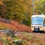 A vintage train traveling through colorful autumn foliage in Italy, showcasing scenic rail routes ideal for exploring the country by train.
