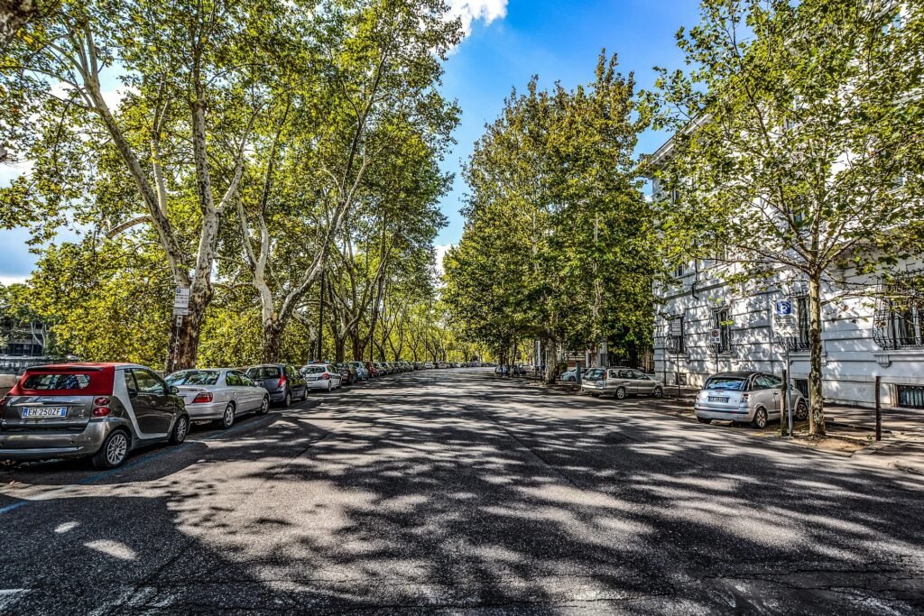 Serene Rome street scene featuring leafy trees and parked vehicles, perfect for travellers seeking quiet, off-the-beaten-path locations in the Eternal City.